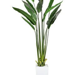 H1355人工観葉植物【ストレリチア／グリーン色】フェイクグリー...