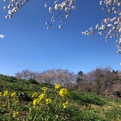 普段遊べる友達募集します！