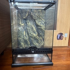 爬虫類・両生類ケージ(新品未使用)