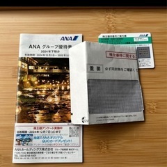 ANA株主優待チケットご案内書　1枚　