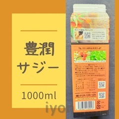 フィネス　豊潤サジー　1000ml  【賞味期限 25.12.4】の画像