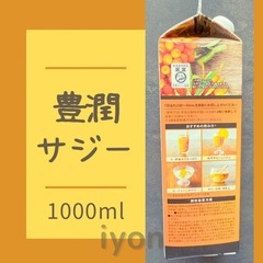 フィネス　豊潤サジー　1000ml  【賞味期限 25.12.4】の画像