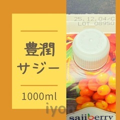 フィネス　豊潤サジー　1000ml  【賞味期限 25.12.4】の画像