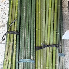 頑丈植物サポートステーク100円1本