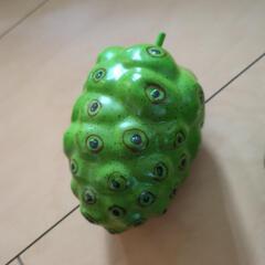タヒチアンノニキーホルダー