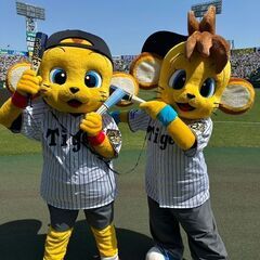 【初心者OK】阪神タイガースをゆるーく応援する会【東京】 − 東京都