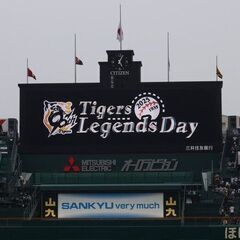 【初心者OK】阪神タイガースをゆるーく応援する会【東京】 - メンバー募集