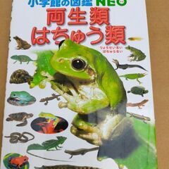 両生類、はちゅう類の図鑑☆　昆虫博士さんに