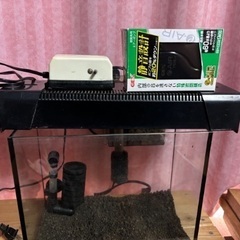 ガラス水槽セット①
