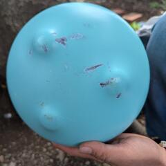 ヘリウムガス 空 ボンベ インテリア ガーデニング用 の画像