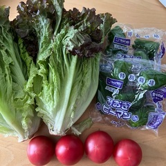 国産野菜セット（3種類）