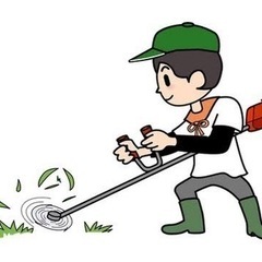 自宅周りの草刈り、やります！！