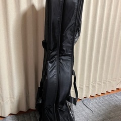 RITTER 2本収納　ギターケースの画像