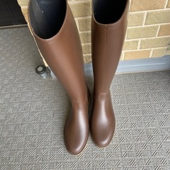 ダナフレインブーツの画像