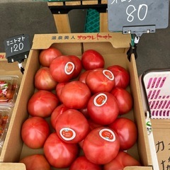 洞爺湖産🍅オロフレトマト入荷しました✨