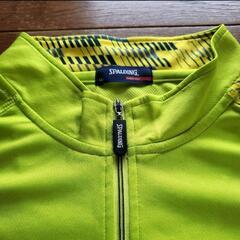 SPALDING Tシャツ の画像
