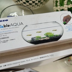 【未使用品】小さなアクアリウム/スターターセットの画像