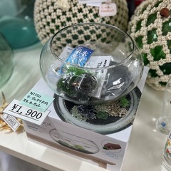 【未使用品】小さなアクアリウム/スターターセット
