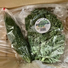 野菜2種　ゴーヤとカリーノケール