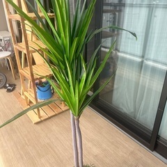 観葉植物（造）花瓶付き