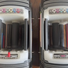 可変ダンベル40kg×2個の画像