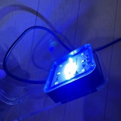 水槽ライト