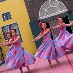 こどもフラダンス体験募集の画像