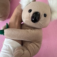 コアラ2体セットの画像