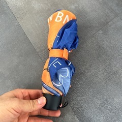 折りたたみ傘、差し上げます。の画像