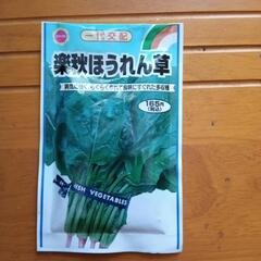 ホーレンソウの種期限が切れてます