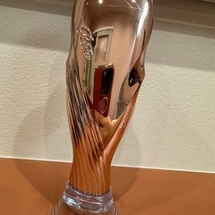 リファ　イオンケアブラシの画像