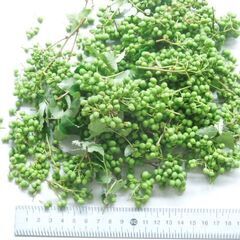 庭で採れた無農薬 山椒の実（150g強・生）(2)