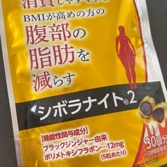 シボラナイト2