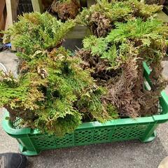 岩松販売の画像
