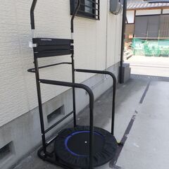 半額に値下げ　ぶらさがり機+トランポリン　　アルインコ バランスウォーク EX8017の画像