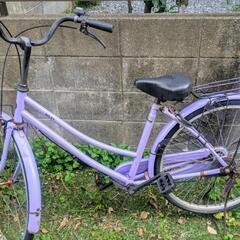 自転車3台の画像