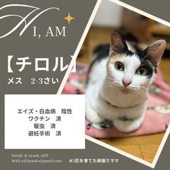 【チロル】子育て頑張りました！