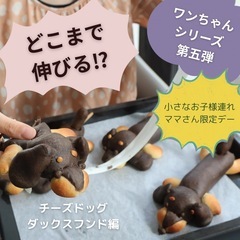 【小さなお子様と一緒に通えるパン教室】お子様の食育にも◎の画像