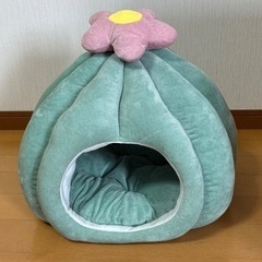 キャットハウス 猫 サボテン かわいい おしゃれ キャットドーム...