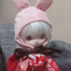 ドル活・ぬい活