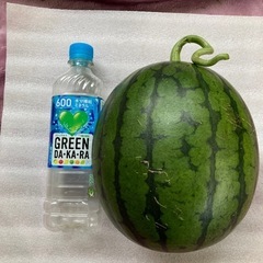 本日限り2L小玉すいか⑵