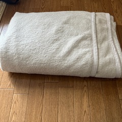 数日で可燃処分　モダンデコ薄手毛布　ベージュ　充分暖かい。ペット保護活動などにも