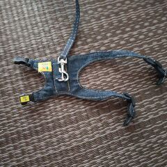 ペット用リード　たぶんフェレット用　【お譲りする方が決まりました】の画像