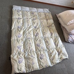 バレンティノの掛け布団　