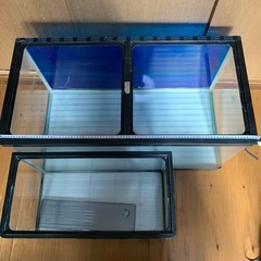 水槽２個と蛍光灯の画像