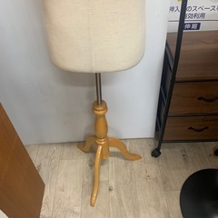 トルソー　マネキンの画像