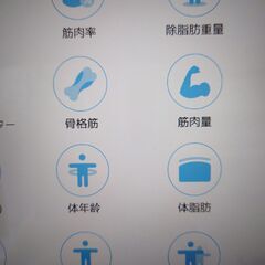 スマホ連動型体重計(180kgまで対応）　（新品未使用品）　の画像