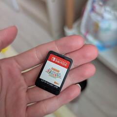 牧場物語　Switch　カセット