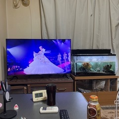 ハイセンス 40インチTVの画像