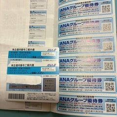 ANA優待券+グループ優待券